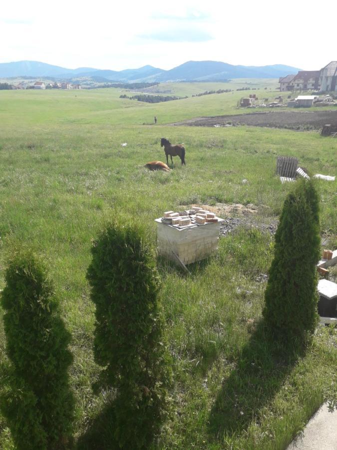 Apartman Selakovic Zlatibor Exterior photo